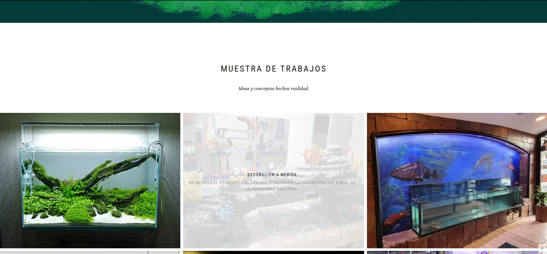 Imagen de Más Proyectos